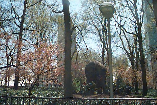 United Nations Garden, New York, NY: 